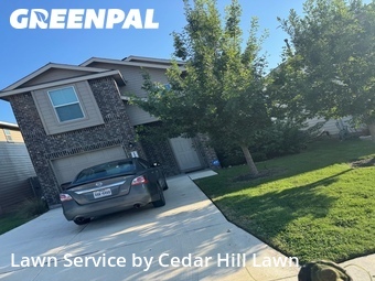Lawn Cutting nearby San Antonio, TX, 