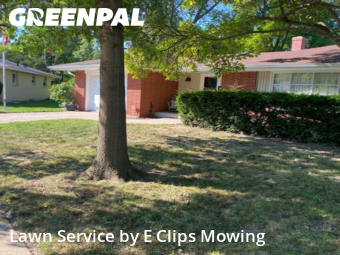 Yard Cutting nearby Rockford, IL, 