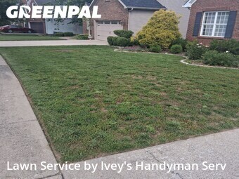 Yard Cutting nearby Lexington, KY, 