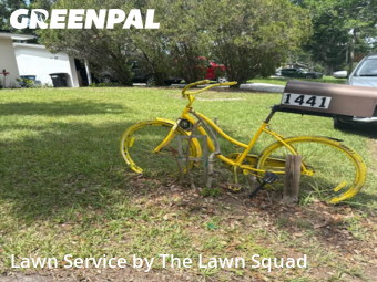 Lawn Mow nearby Clearwater, FL, 