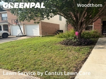 Lawn Care Service nearby San Antonio, TX, 