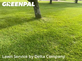 Yard Cutting nearby Portland, KY, 