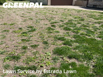 Yard Cutting nearby Topeka, KS, 