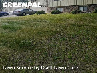 Lawn Cut nearby Maple Grove, MN, 