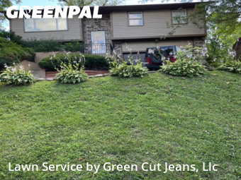 Lawn Care nearby Salem, IL, 