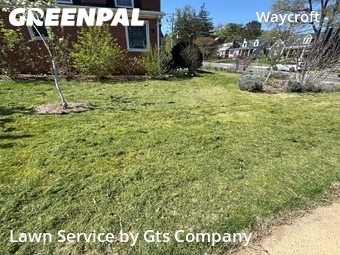 Lawn Maintenance nearby Arlington, VA, 