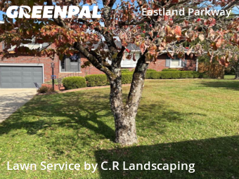 Yard Mowing nearby Lexington, KY, 