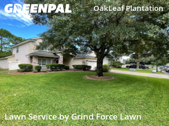 Lawn Mow nearby Orange Park, FL, 