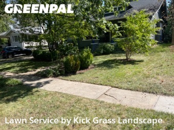 Lawn Cutting nearby St. Louis, MO, 