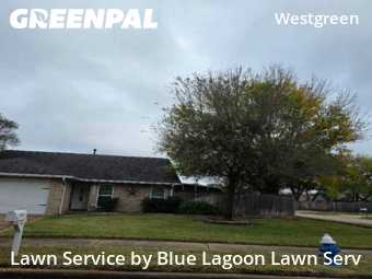 Lawn Care Servicein Katy,77449,Yard Cutting by Blue Lagoon Lawn Serv, work completed in Dec , 2025