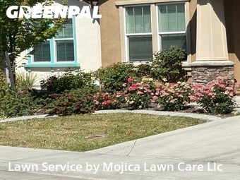 Lawn Cut nearby 罗斯维尔加利福尼亚美国, CA, 