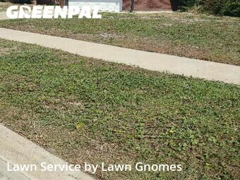 Lawn Cut nearby Killeen, TX, 