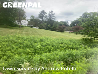 Lawn Cutting nearby Baldwinsville, NY, 