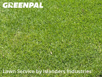 Grass Cut nearby Westminster, LA, 