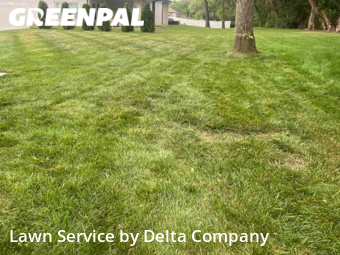 Lawn Cut nearby Bowling Green, KY, 