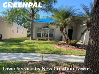 Lawn Mow nearby Riverview, FL, 