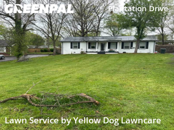 Lawn Mowing Service nearby Nashville, TN, 