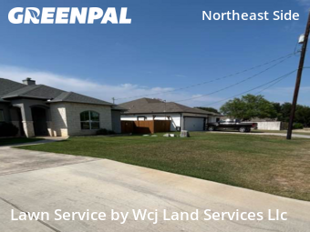 Turf Services in Selma, 78154, Lawn Cutting by Wcj Land Services Llc, work completed in Oct , 2025