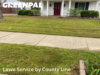 Lawn Cut nearby Arlington, TN, 