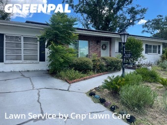 Grass Cut nearby Temple Terrace, FL, 