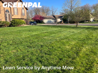 Grass Cutting nearby Blue Springs, MO, 