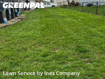 Lawn Mowing Servicein Orland Park,60462,Lawn Cut by Ines Company, work completed in Nov , 2025