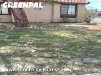 Lawn Mow nearby Palmdale, CA, 