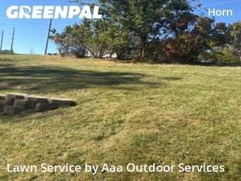 Yard Cutting nearby Iowa City, IA, 