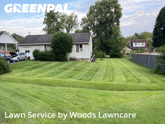 Lawn Care nearby Kingsport, TN, 