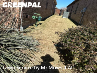 Grass Cut nearby Fairview, TX, 