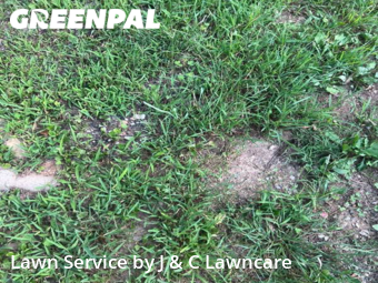 Lawn Cutting nearby Clarksville, TN, 