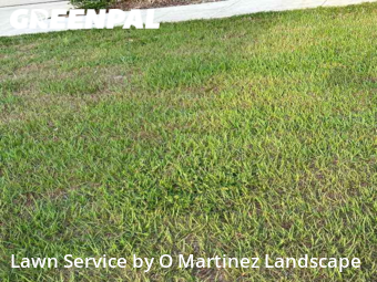 Lawn Mow nearby Mascotte, FL, 