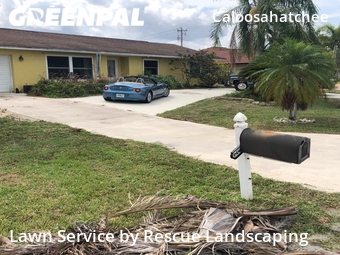 Grass Cut nearby Cape Coral, FL, 