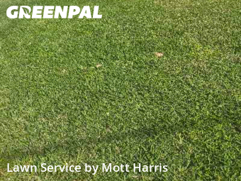 Lawn Mowing Service nearby Sunrise, FL, 