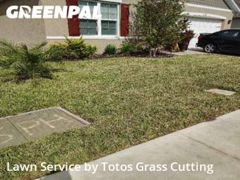 Yard Mowingin Ocoee,34761,Grass Cut by Totos Grass Cutting, work completed in Dec , 2025