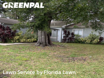 Lawn Mow nearby Kissimmee, FL, 