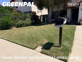 Yard Cutting nearby San Diego, CA, 