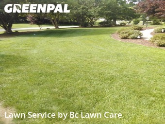 Lawn Mowing nearby Raleigh, NC, 