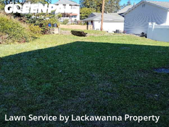 Grass Care in Scranton, 18504, Yard Services by Lackawanna Property, work completed in Nov , 2025