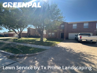 Grass Cut nearby Grand Prairie, TX, 