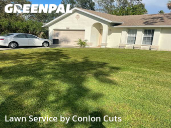 Lawn Cutting nearby Bradenton, FL, 