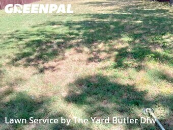 Lawn Cut nearby Irving, TX, 