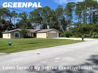 Lawn Mow nearby Palm Coast, FL, 