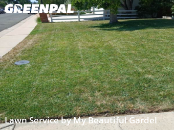 Yard Cutting nearby Thornton, CO, 