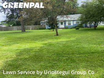 Lawn Work in Wadsworth, 60083, Grass Services by Uriostegui Group Co, work completed in Dec , 2025