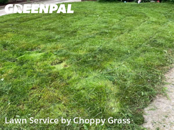 Grass Cutting nearby Bayonne, NJ, 