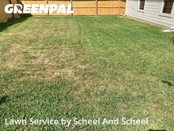 Yard Cutting nearby Katy, TX, 