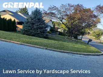 Yard Mowing in Reading, 19606, Yard Care by Yardscape Services, work completed in Nov , 2025