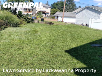 Yard Cutting nearby Scranton, PA, 