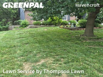 Lawn Cuttingin Olathe,66062,Lawn Care Service by Thompson Lawn, work completed in Jun , 2026